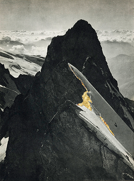 &copy; Godelieve Vandamme - Les Alpins