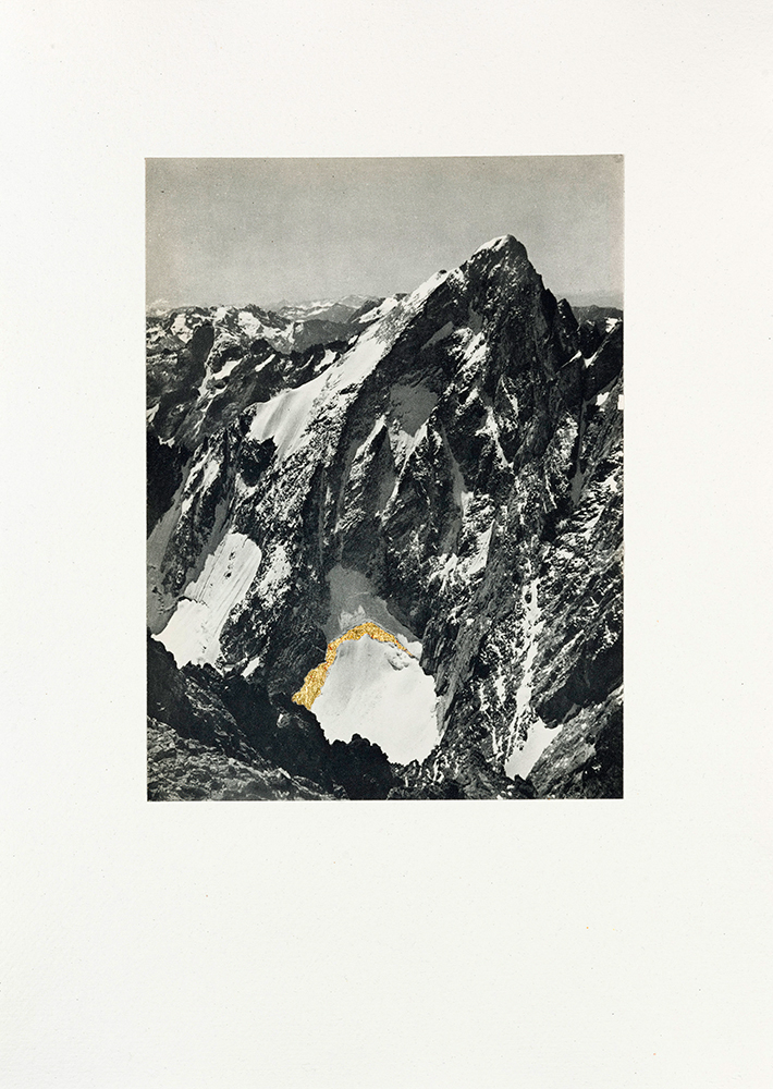 &copy; Godelieve Vandamme - Les Alpins